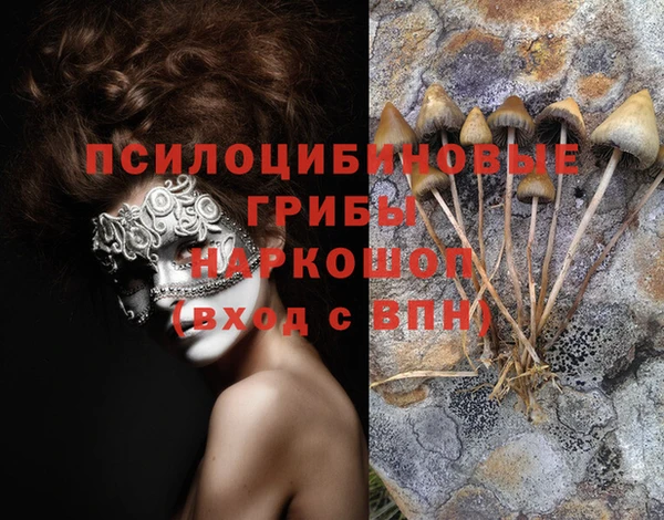 марки lsd Балабаново