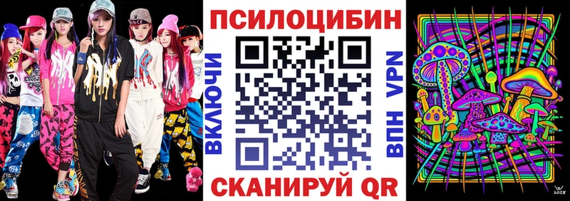 купить закладку  Сусуман  Галлюциногенные грибы Magic Shrooms 